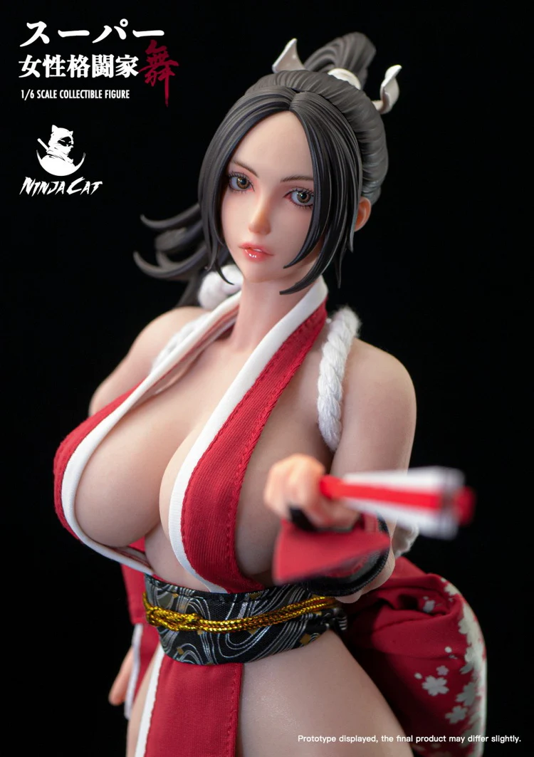 Ninja Cat N001 Female Fighter Mai 1/6 Scale Action Figure - Image 2