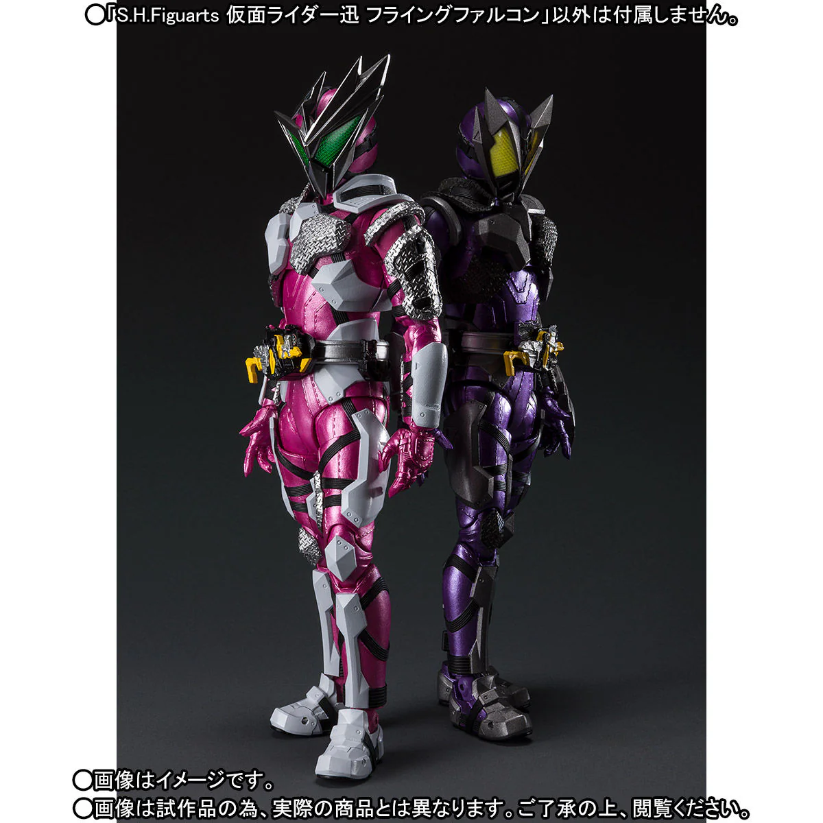 SH Figuarts Kamen Rider Jin Flying Falcon - Image 5