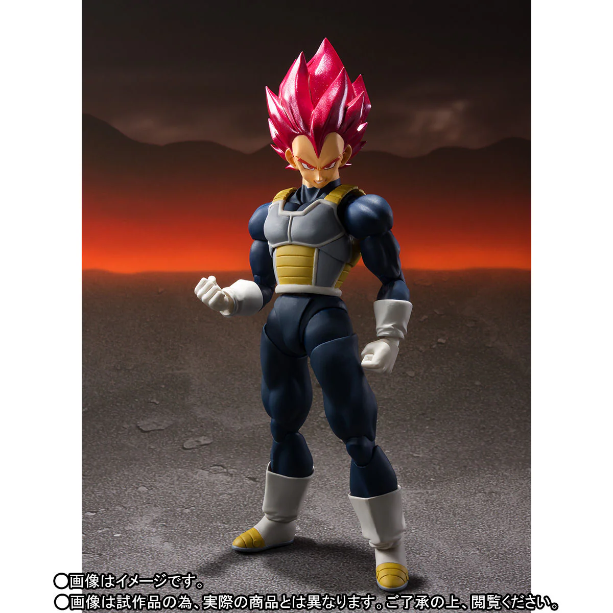 SH Figuarts Super Saiyan God Super Saiyan Vegeta Super - Image 6