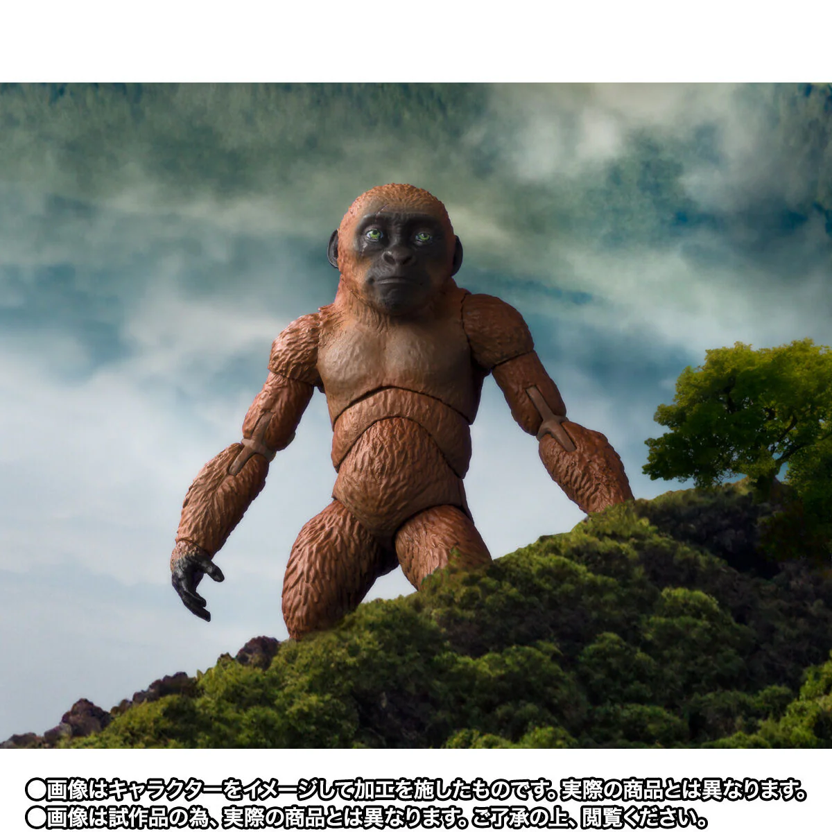 SH MonsterArts Suko & Mothra (2024) - Godzilla x Kong: The New Empire - Image 10