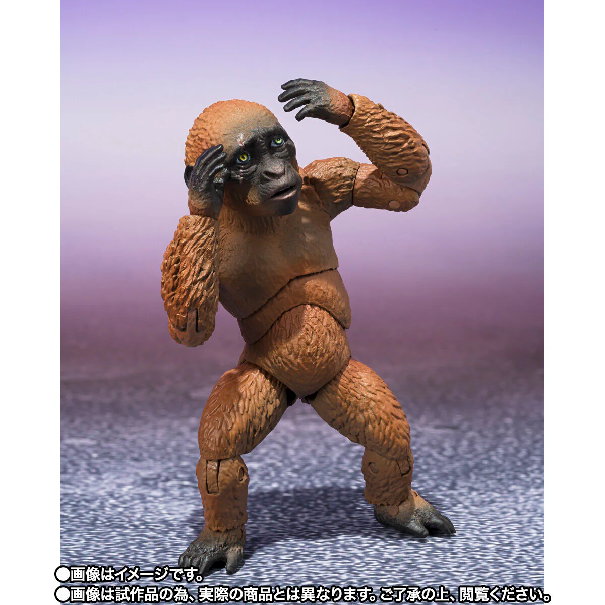 SH MonsterArts Suko & Mothra (2024) - Godzilla x Kong: The New Empire - Image 3