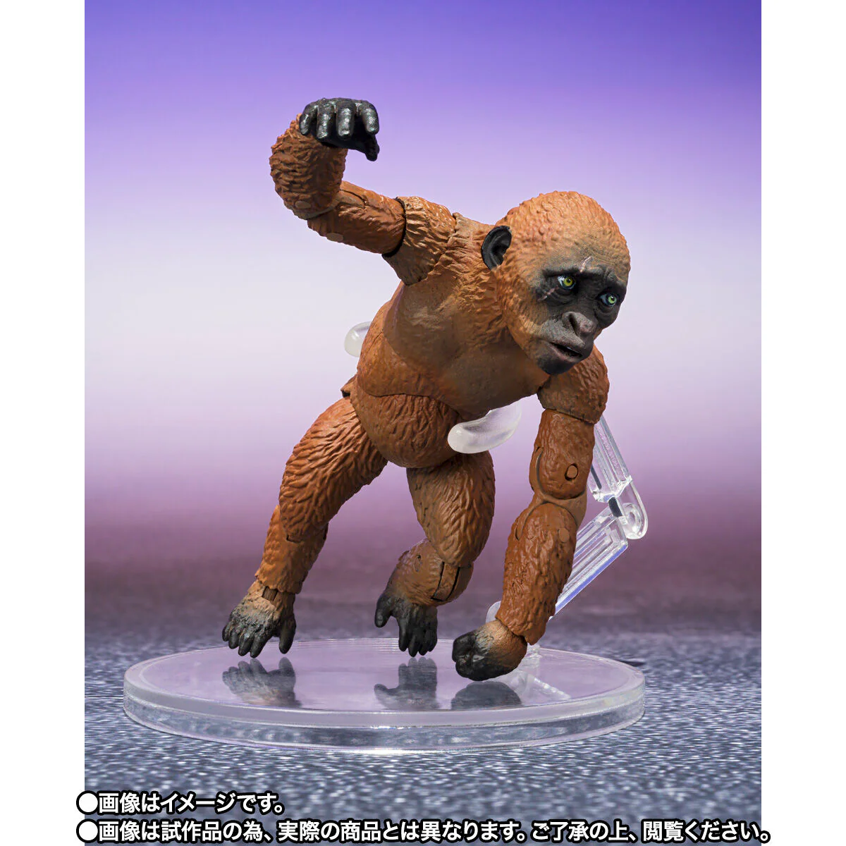 SH MonsterArts Suko & Mothra (2024) - Godzilla x Kong: The New Empire - Image 4